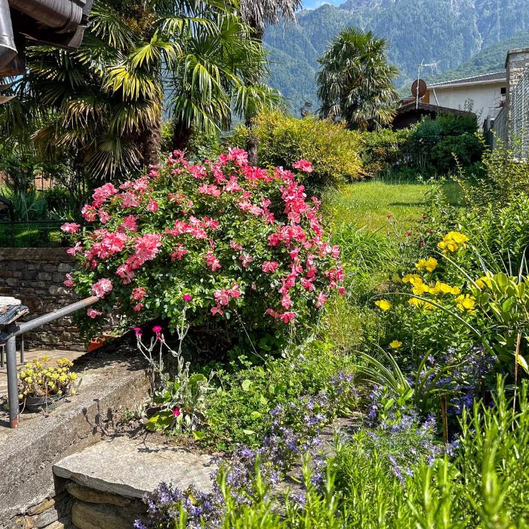 Leonardo Panorama-Ferienwohnung (OG) - Appartamento con Vista Lago - 14