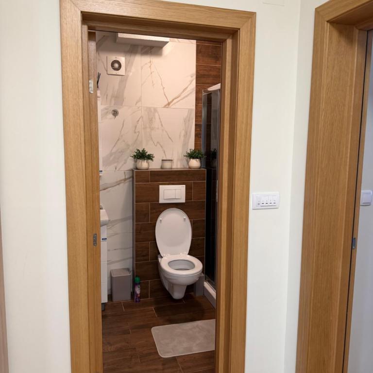Tesla apartman - Apartman sa 1 Spavaćom Sobom - 6
