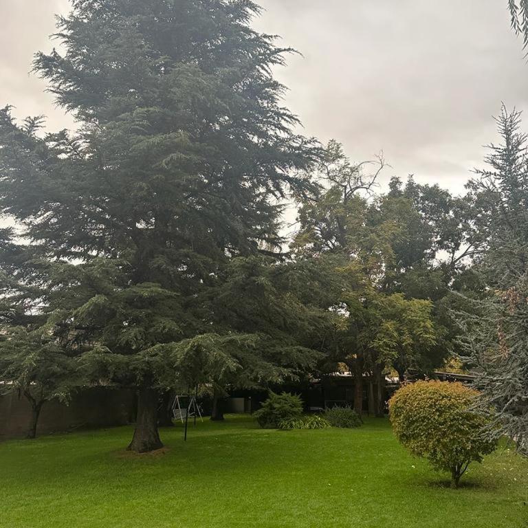 Posada Pinar De Besares - Villa with Garden View - 6