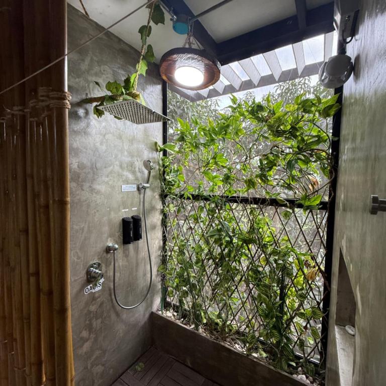 Oasis Glamping Tena Cun Vía La Mesa Anapoima - Suite Deluxe con bañera de hidromasaje - 15