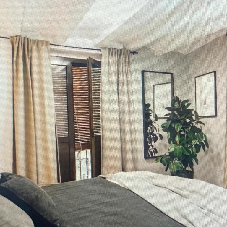 The Peregrino - Appartement 1 Chambre - 5
