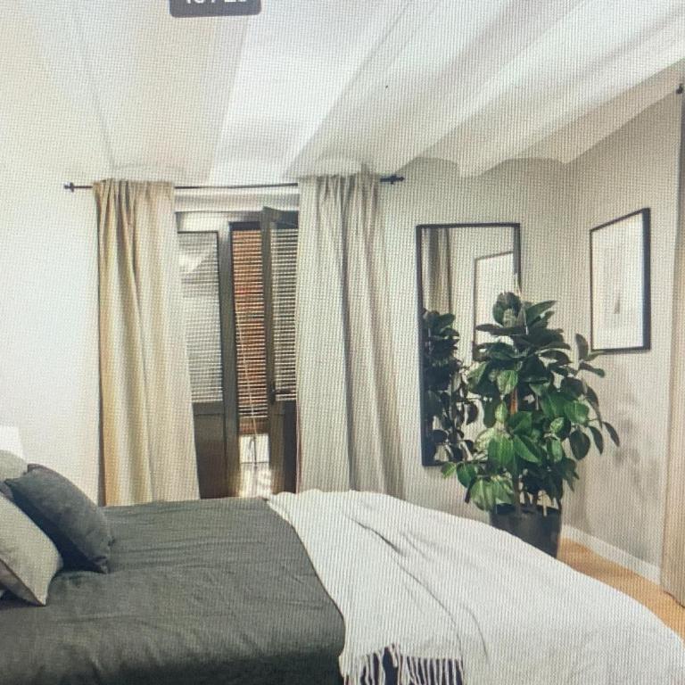 The Peregrino - Appartement 1 Chambre - 10