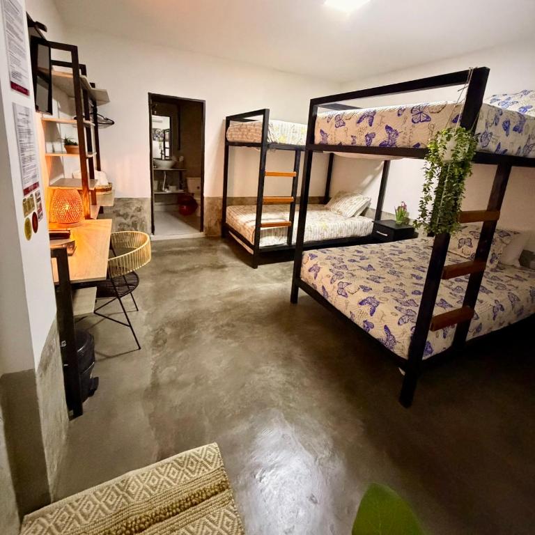 Nómada22 -Hotel moderno en el centro de Neiva - Camarote Familiar - 11