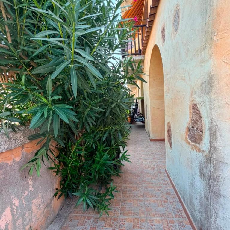 La Terrazza sul Golfo - Appartamento Standard - 12