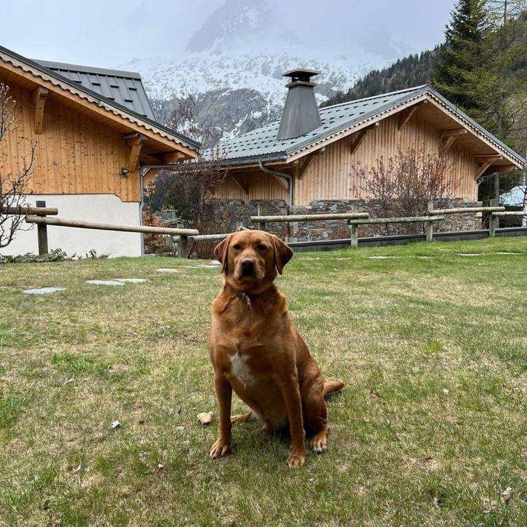 Cosy Apartment in Le Tour Chamonix - Appartement 2 Chambres - 4