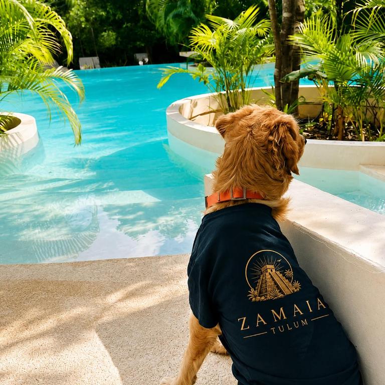 Seremonia Studios by Zamaia Tulum - Apartamento con balcón - 56