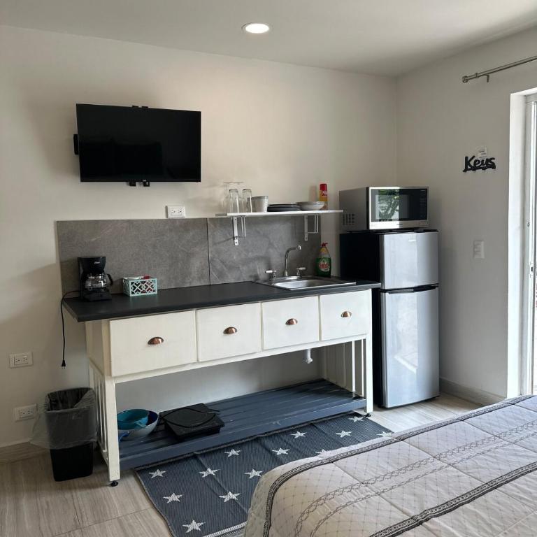 Lazaro B, LOFT in the Heart of San Pedro - Apartamento de 1 dormitorio - 9
