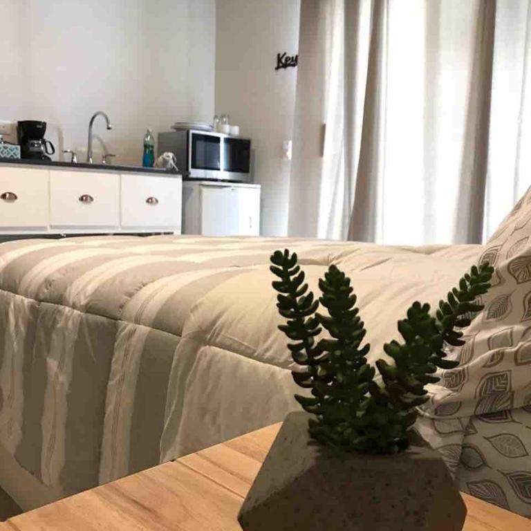 Lazaro B, LOFT in the Heart of San Pedro - Apartamento de 1 dormitorio - 10