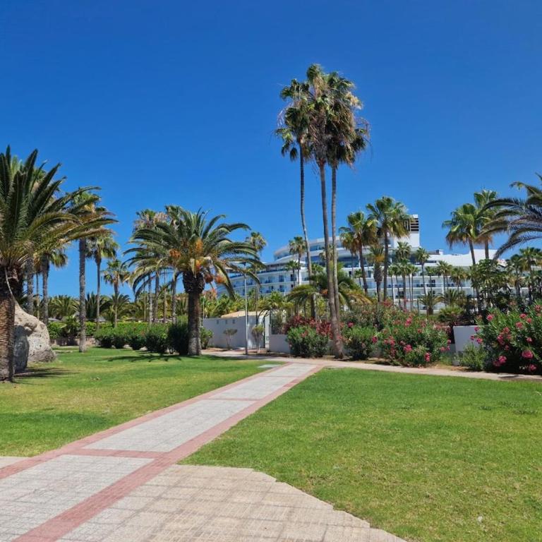 Apartamento Júpiter - Appartement 1 Chambre - 25