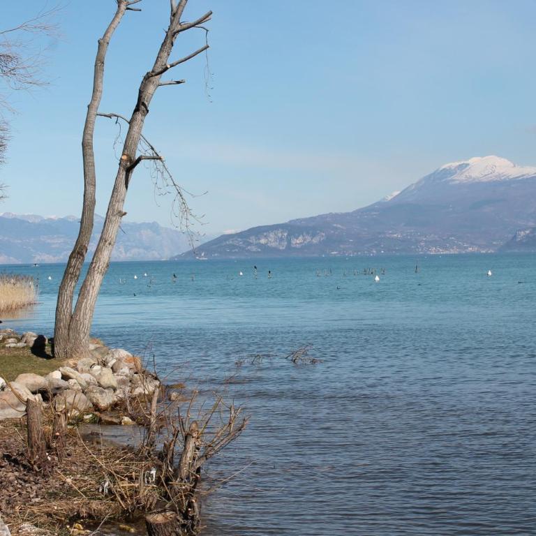 Bea's House, Restyling 2026 Sirmione with Private Garden and shared Pool DesenzanoLoft Official Partner Homes & Villas by Marriott Bonvoy - Appartamento con Vista Piscina - 41