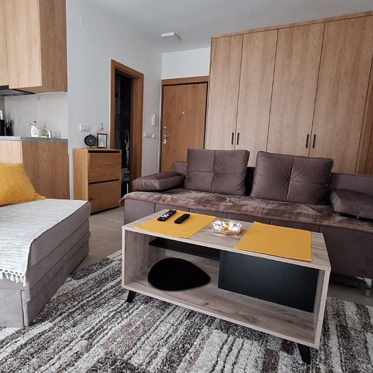 Apartman Djokic Divcibare - Apartman sa 1 Spavaćom Sobom - 1