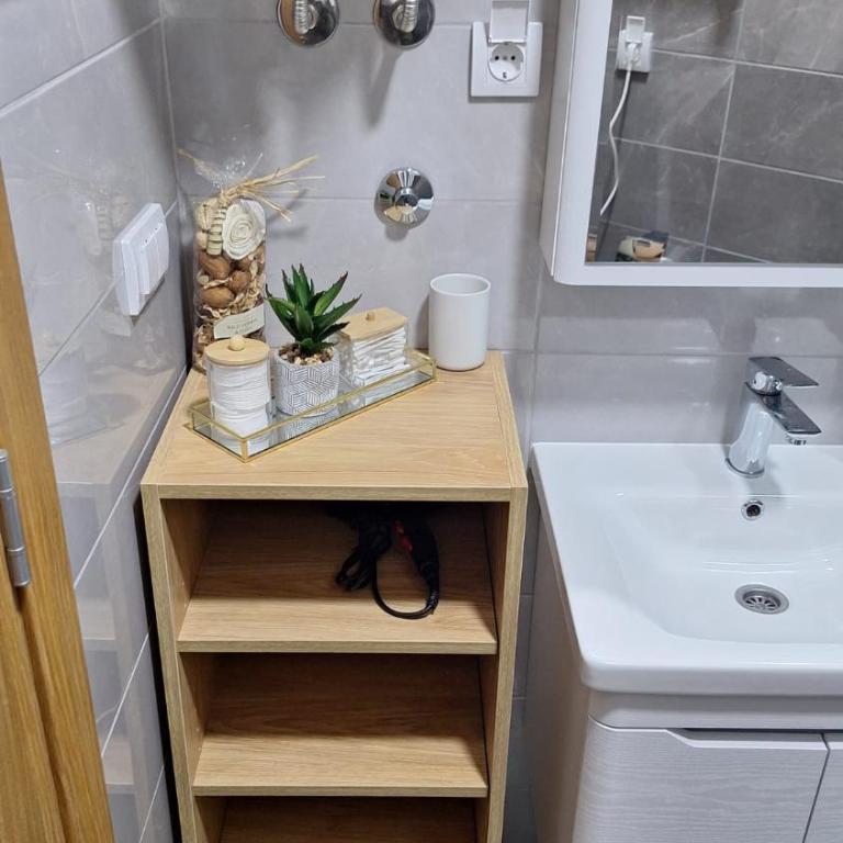 Apartman Djokic Divcibare - Apartman sa 1 Spavaćom Sobom - 11