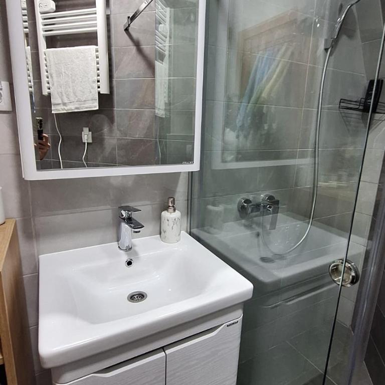 Apartman Djokic Divcibare - Apartman sa 1 Spavaćom Sobom - 13