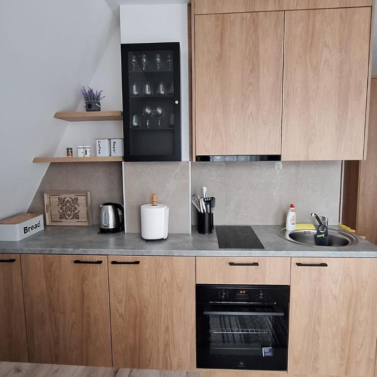 Apartman Djokic Divcibare - Apartman sa 1 Spavaćom Sobom - 8