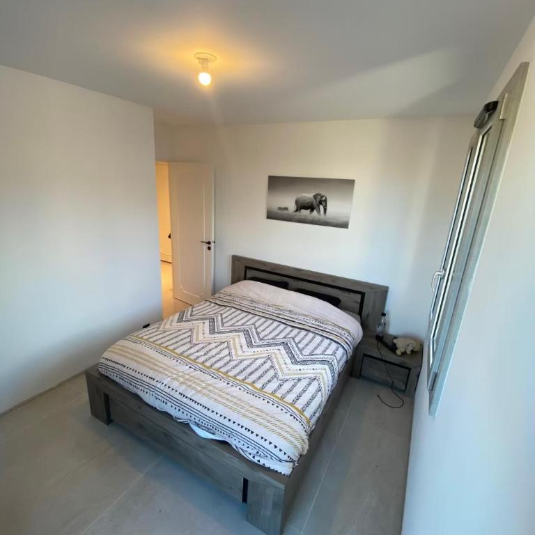 Grand T2 de centre-ville avec garages et terrasses - Apartment mit 1 Schlafzimmer - 10