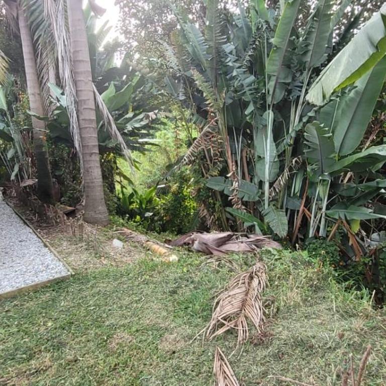 zona verde, cerca al aeropuerto - Casa con 1 dormitorio - 12