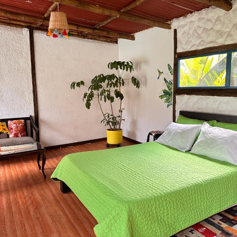 Padua Finca Hotel - Bungalow - Frente al agua - 8