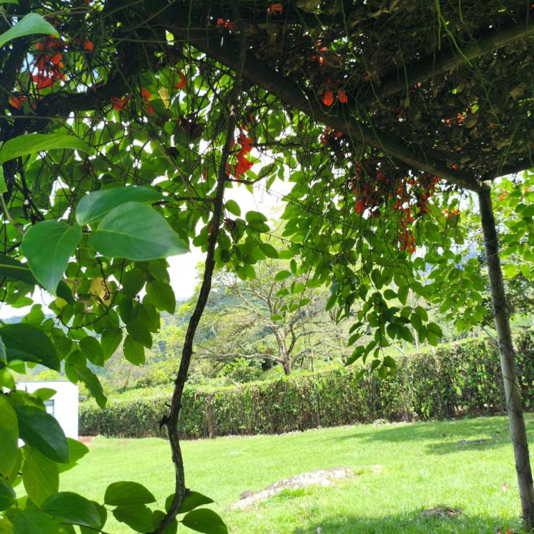 Finca Alejandria - Piedemonte Llanero - Restrepo - Villa - 2