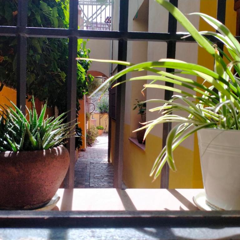 Apartment with a private patio - Casa con 1 dormitorio - 18