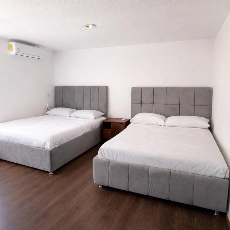 Bowra Milan - Apartamento - Planta baja - 4