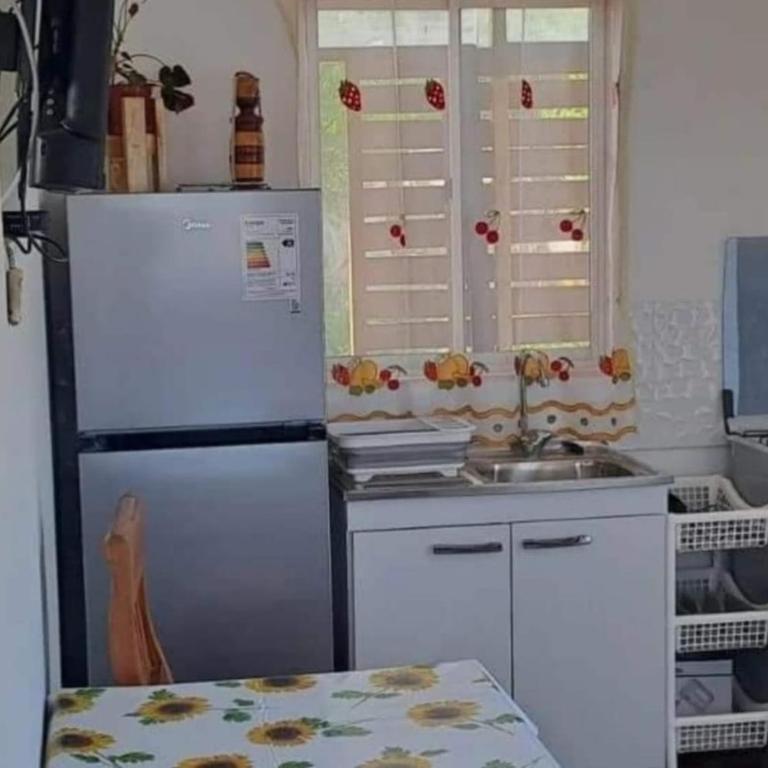 Quilacahuin - Casa con 1 dormitorio - 4