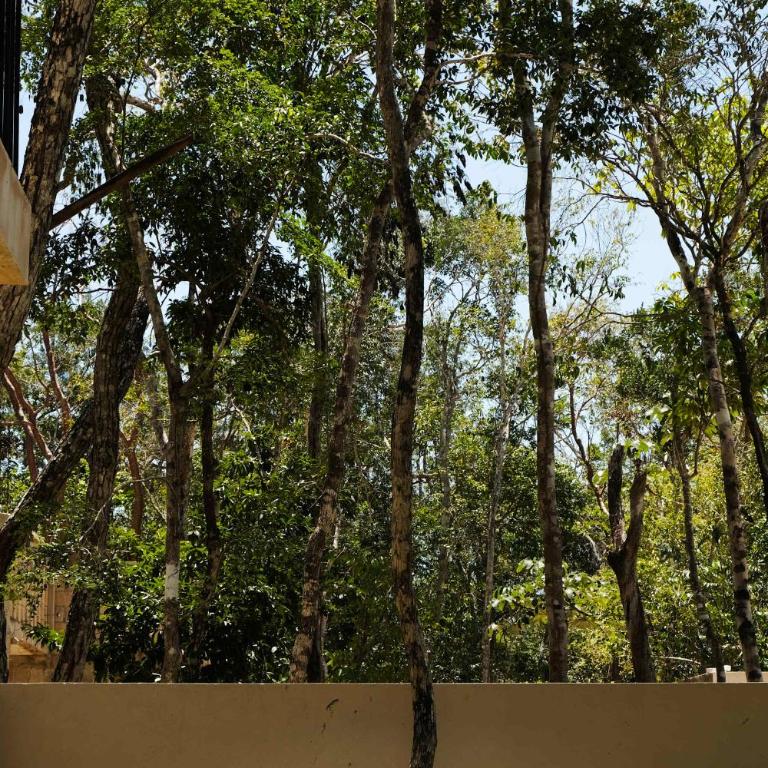 Tulum Jungle Villa 4BR Private Pool - Ferienhaus - 12