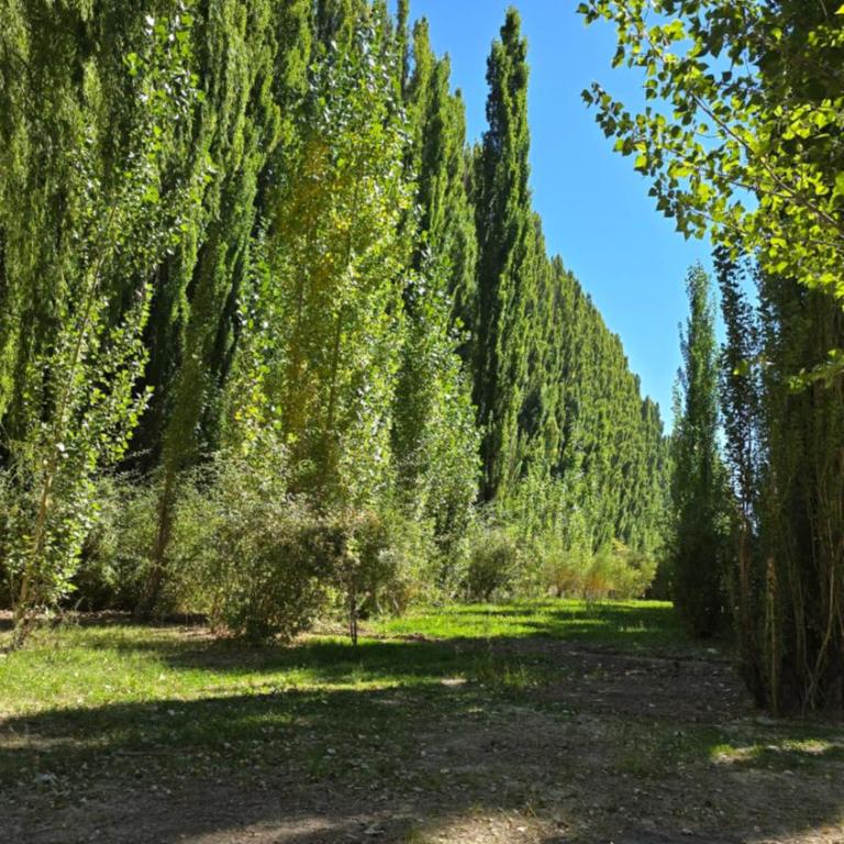 La beatriz uspallata - Two-Bedroom House - 12