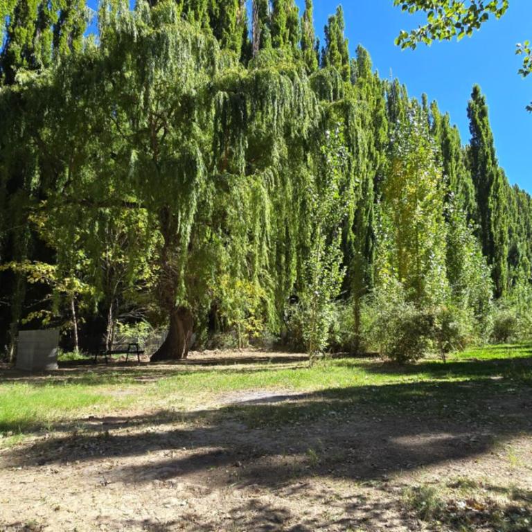 La beatriz uspallata - Two-Bedroom House - 18