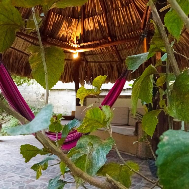 A-típico - Two-Bedroom Apartment - 2