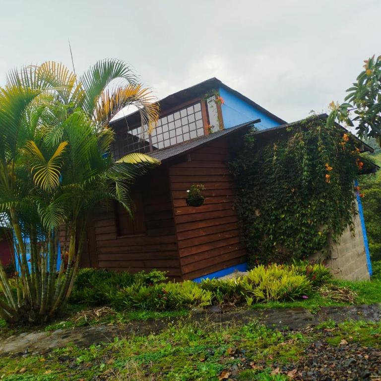 Jardín Vista Verde - Casa - 22