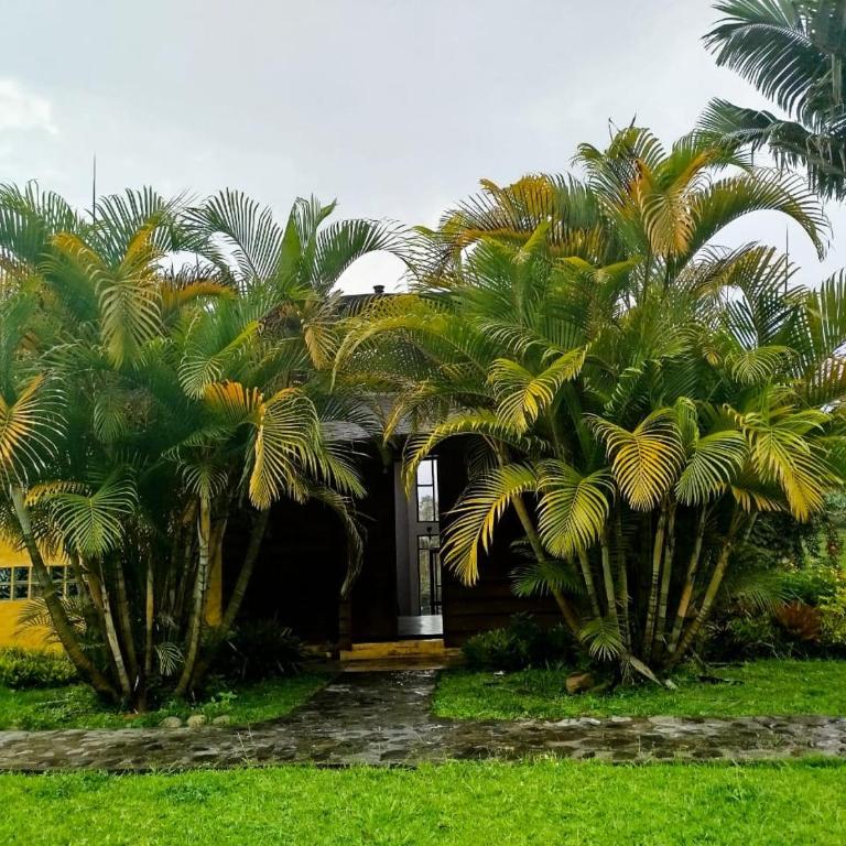 Jardín Vista Verde - Casa - 18