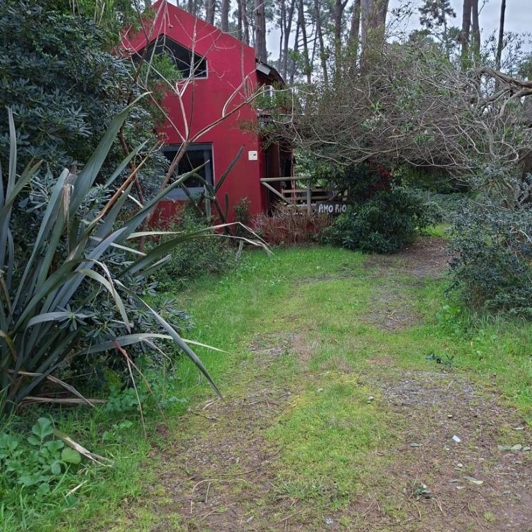Casa bosque y mar - Three-Bedroom House - 22