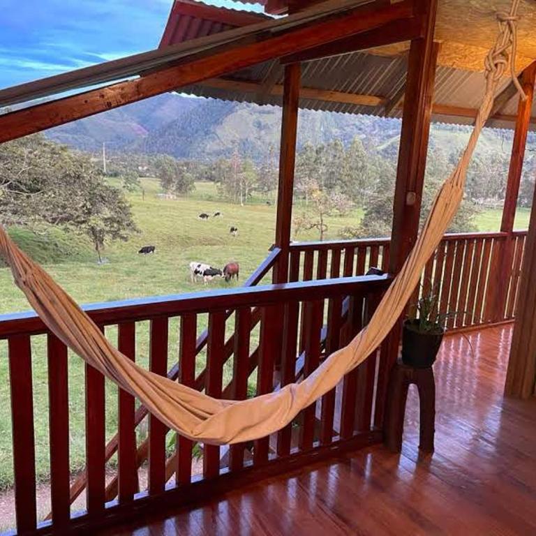 EcoStay Dos de Mayo - Habitación Doble con vistas a la montaña - 3