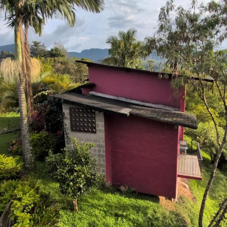 Jardín Vista Verde - Casa - 41