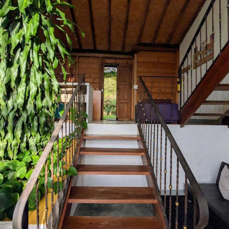 Jardín Vista Verde - Casa - 38