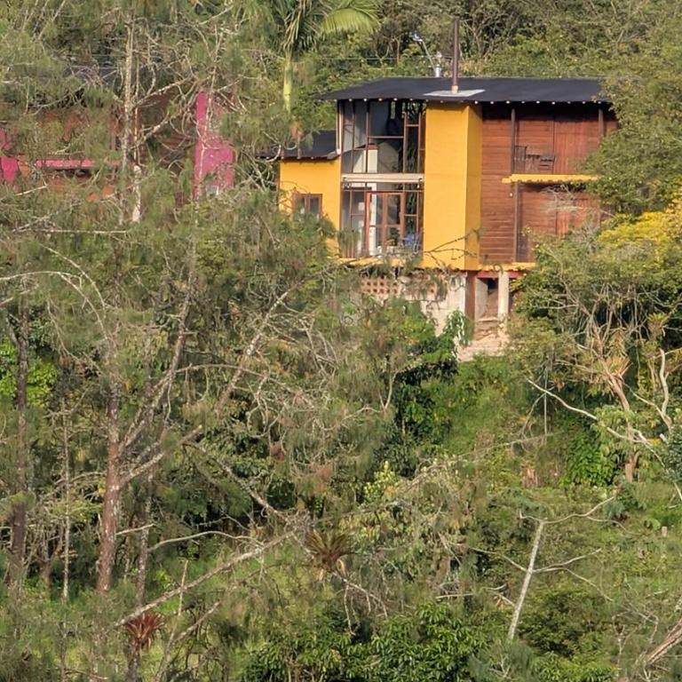 Jardín Vista Verde - Casa - 48