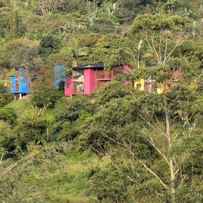 Jardín Vista Verde - Casa - 46