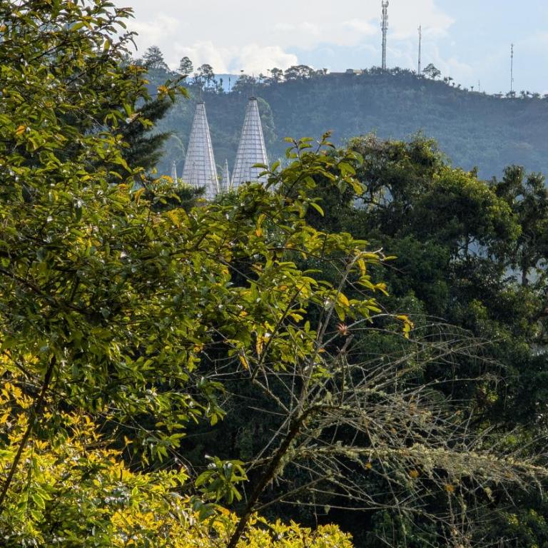 Jardín Vista Verde - Casa - 43
