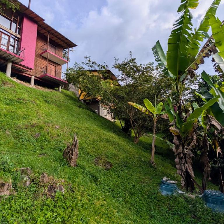 Jardín Vista Verde - Casa - 61