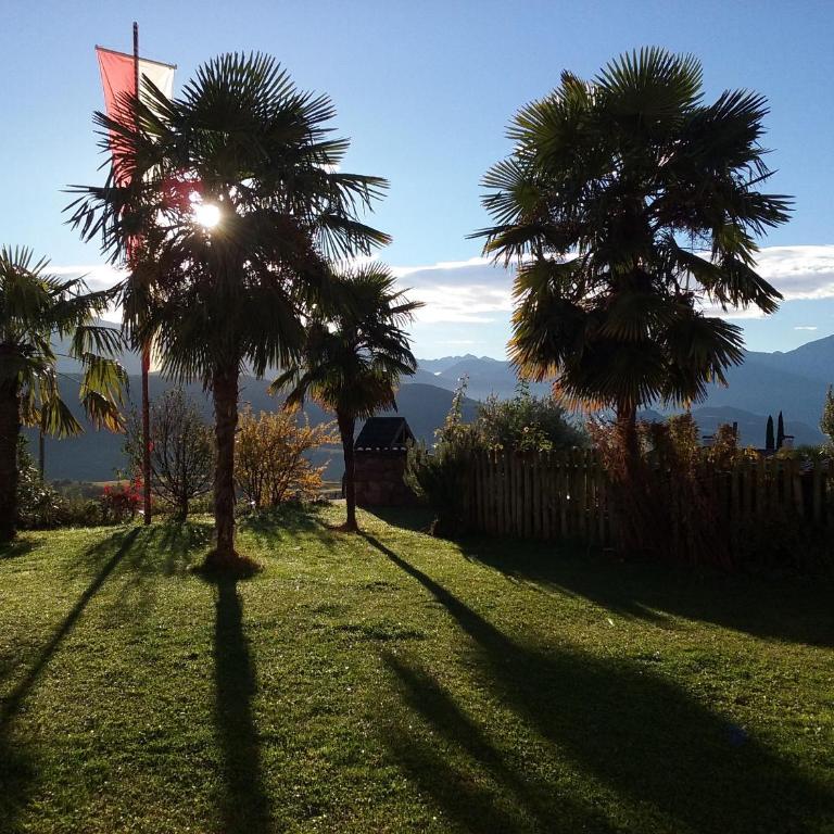 Wiesmüllerhof - Appartamento con Vista Giardino - 2