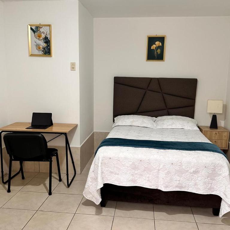 Hausse - Habitación Doble Deluxe - 5