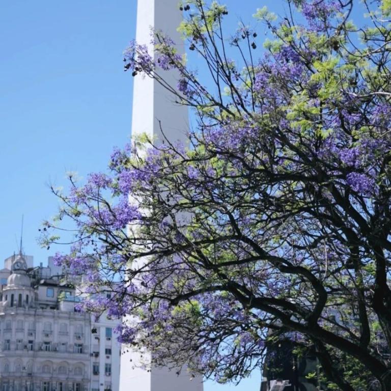 View of the Obelisco! Birthplace of Tango, Wine and Polo - Apartamento de 1 dormitorio - 7