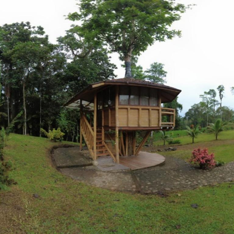 Casa del árbol - zona para acampar - Habitación Doble con vistas al jardín - 1 o 2 camas - 1