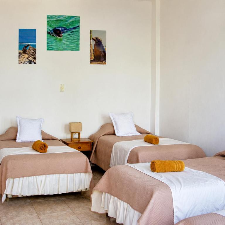 Gran Hostal Tintorera - Habitación Cuádruple con baño privado - 1