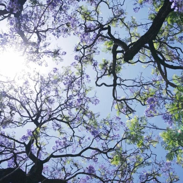 Light and Art Deco Design x 4, Obelisco - Apartamento de 2 dormitorios - 4
