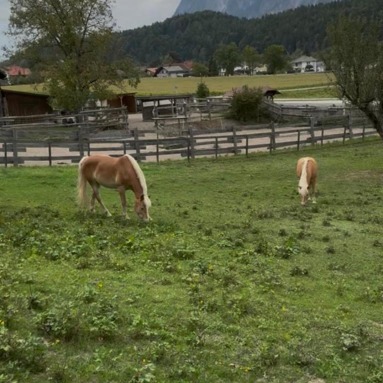 Ferienwohnung Lind - Apartment mit 2 Schlafzimmern - 22