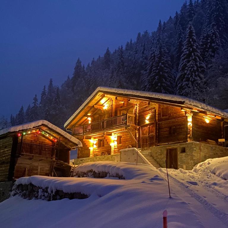 Chalet Philomena - Chalet - 1