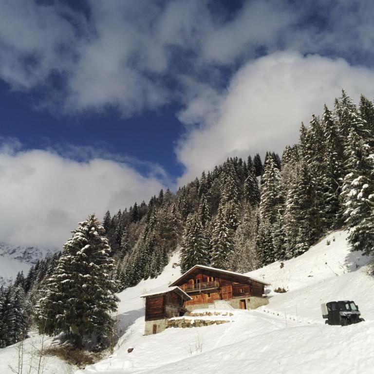 Chalet Philomena - Chalet - 2