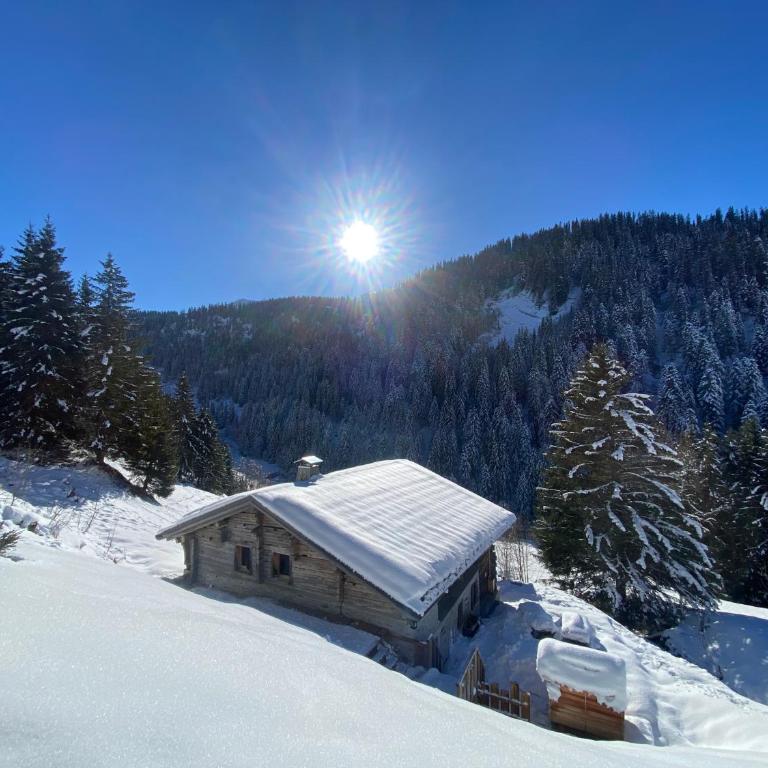 Chalet Philomena - Chalet - 4