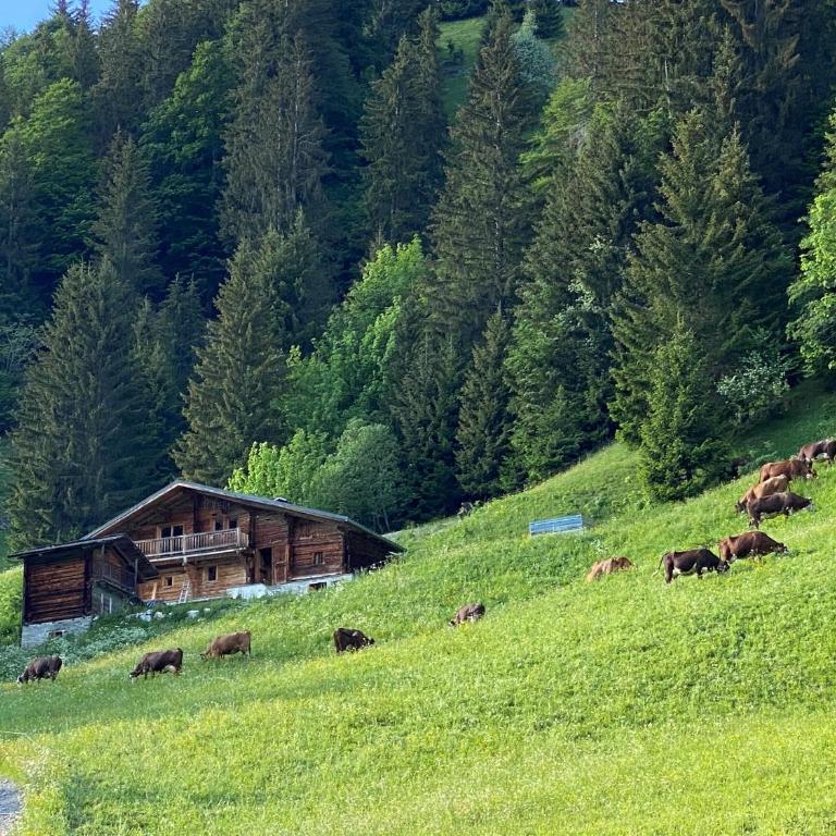 Chalet Philomena - Chalet - 9